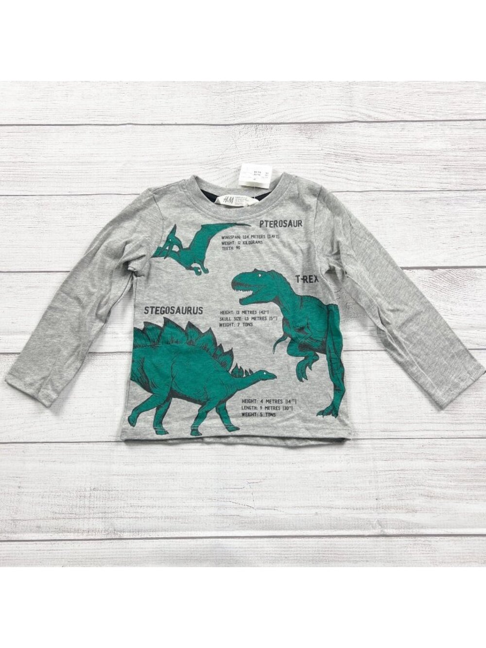 H&M Gray Dinosaur Graphic Long Sleeve Shirt Kids NWT 18-24 Months